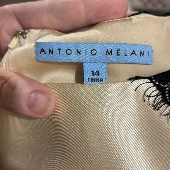 Sz 14 champagne satin sheath dress Antonio Melani black lace knee length - Picture 7 of 8